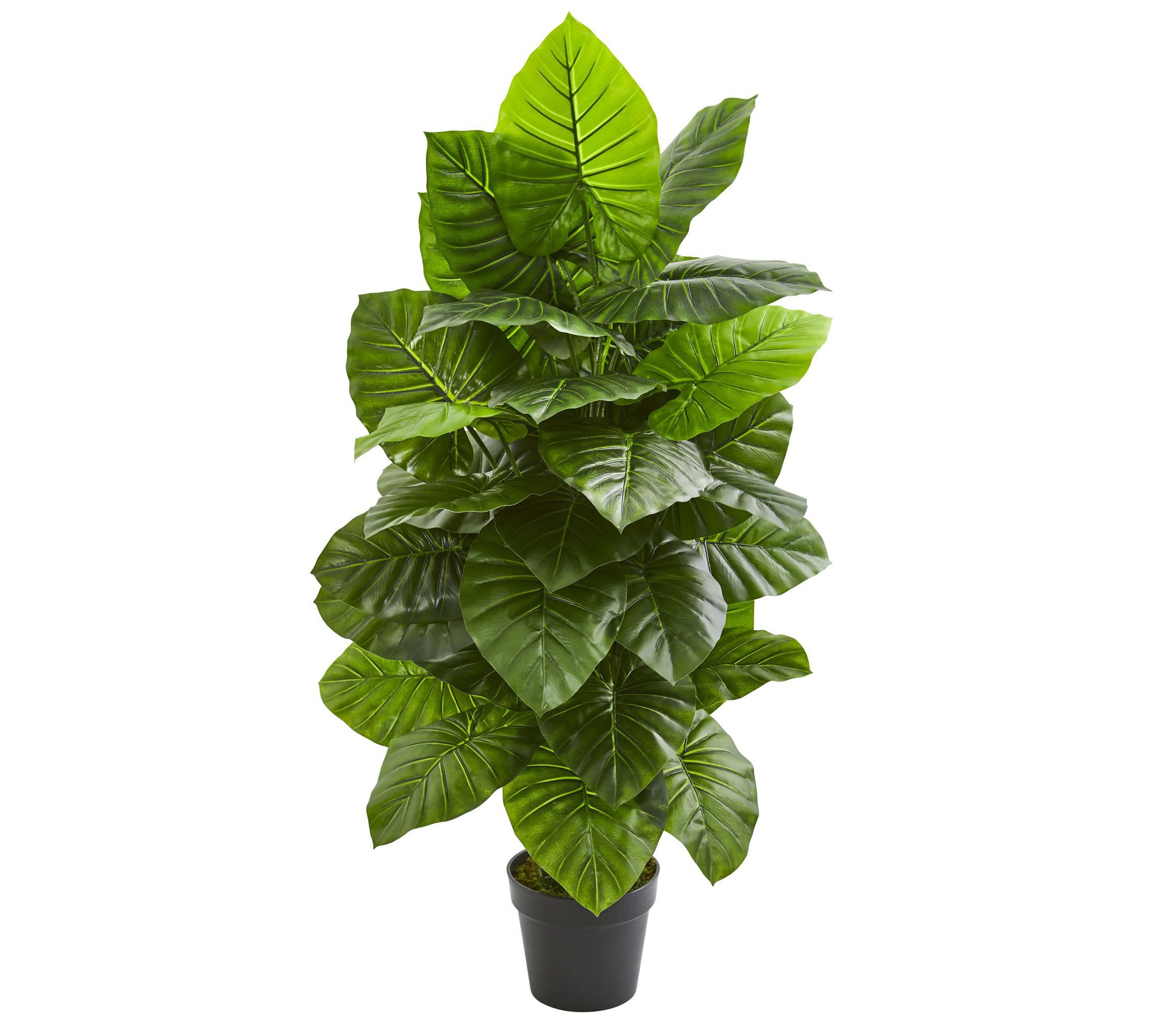 Taro Artificial Plant