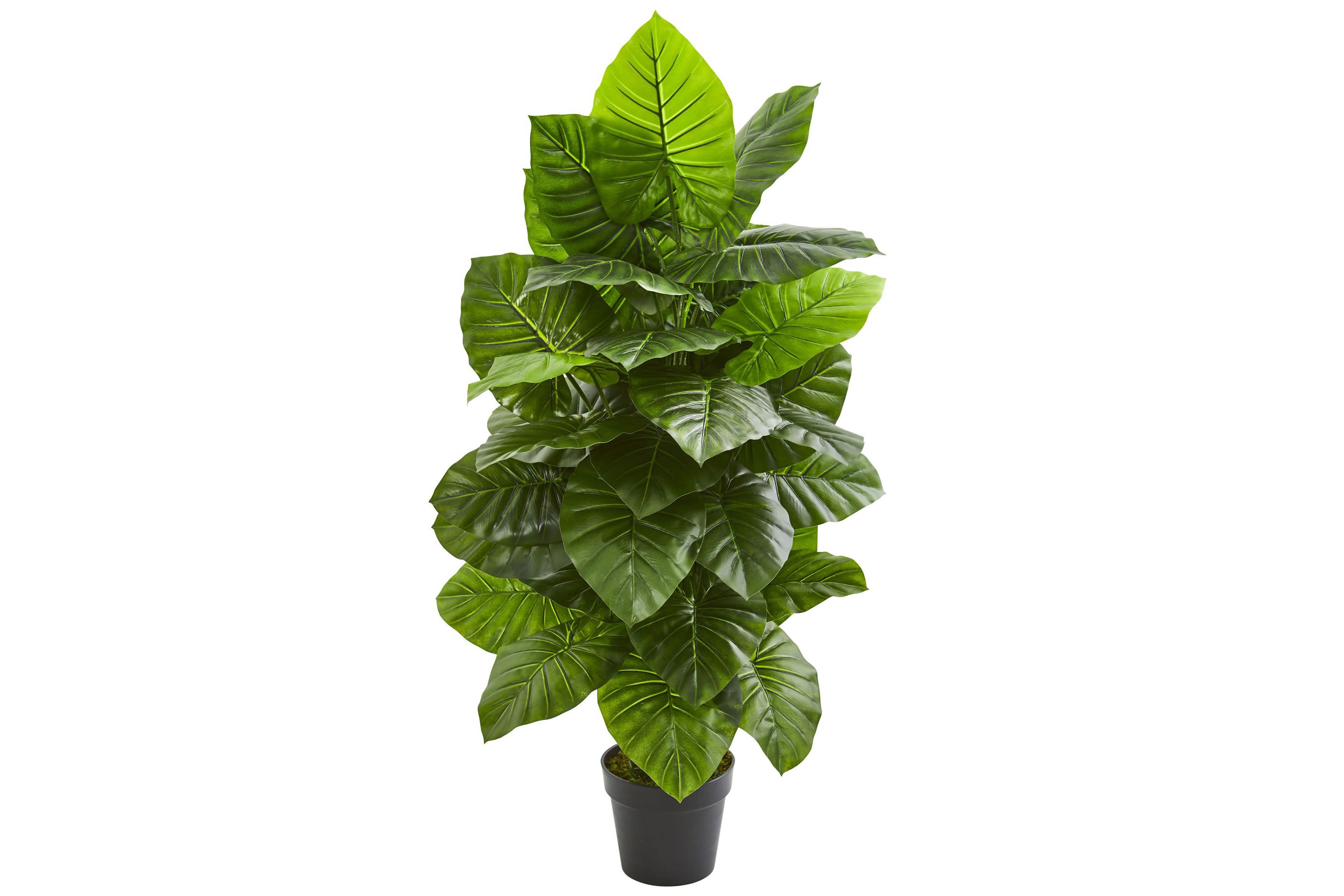 Taro Artificial Plant