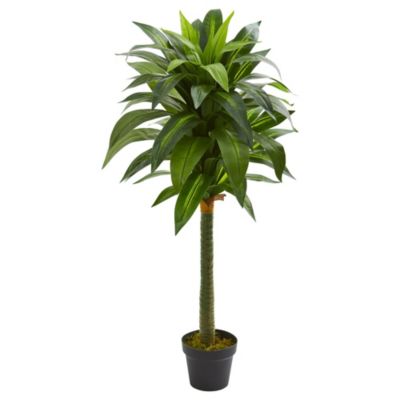 Nearly Natural 45-Inch Dracaena Artificial Plant, Green