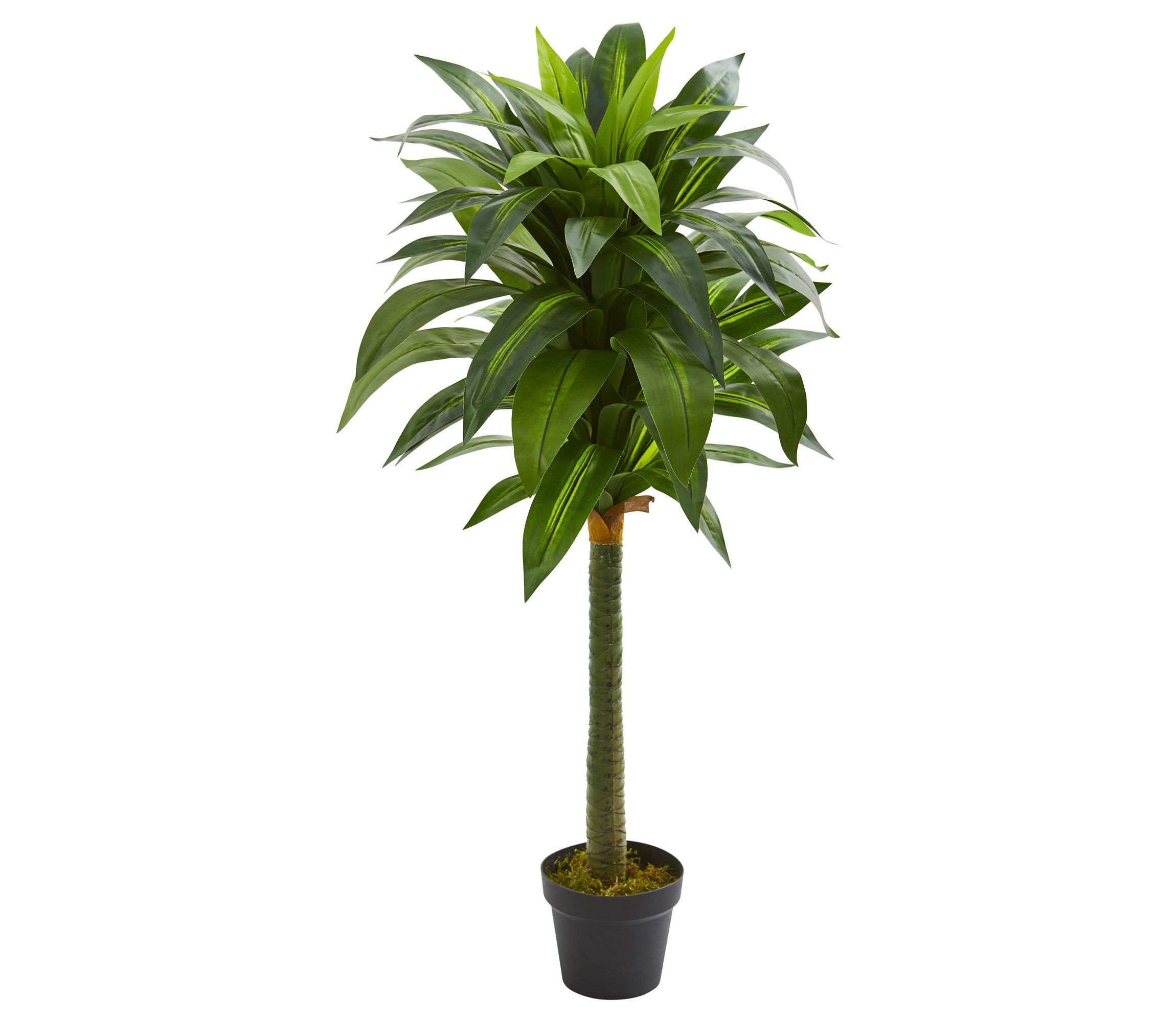 45-Inch Dracaena Artificial Plant