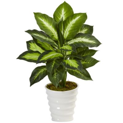 Dieffenbachia Artificial Plant in Swirl Planter