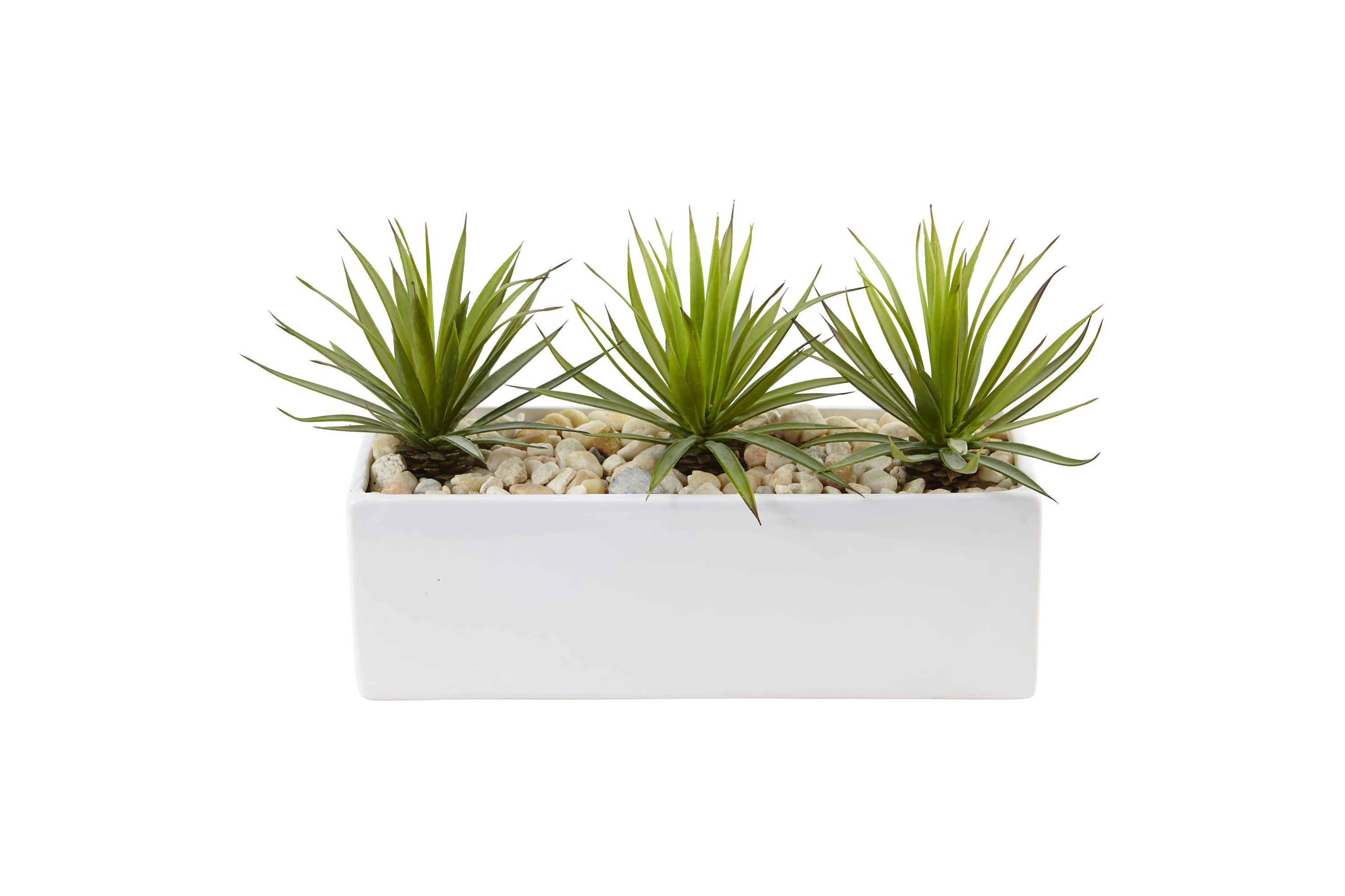Mini Agave Artificial Plant in Rectangular Ceramic
