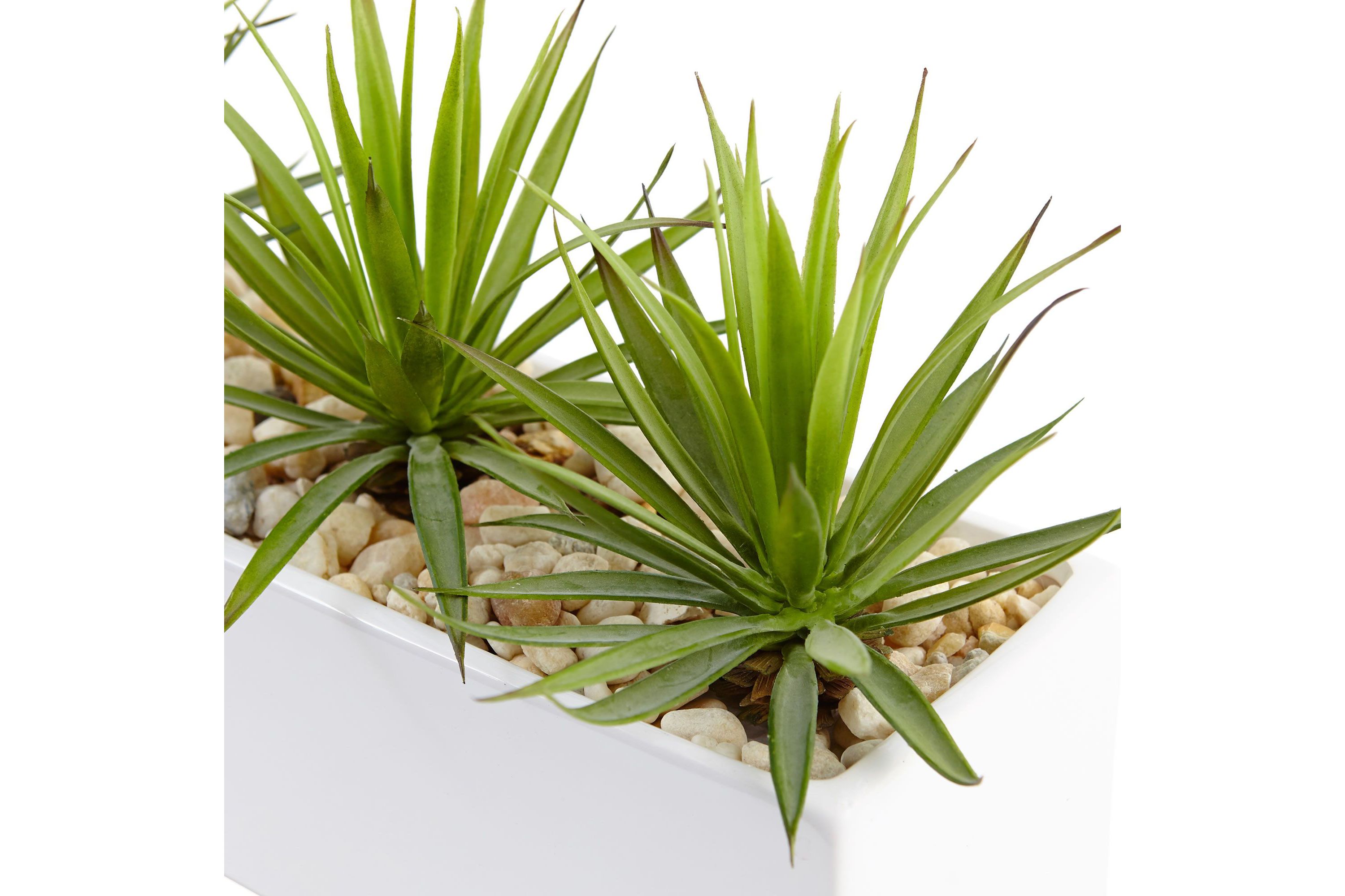 Mini Agave Artificial Plant in Rectangular Ceramic