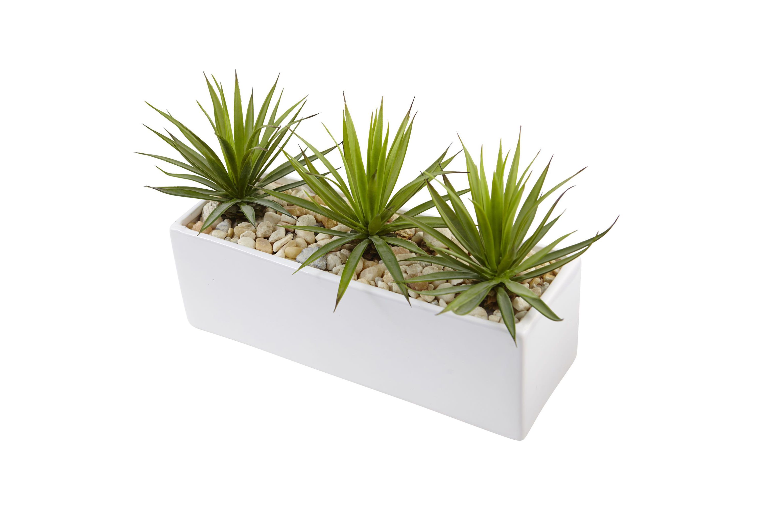 Mini Agave Artificial Plant in Rectangular Ceramic