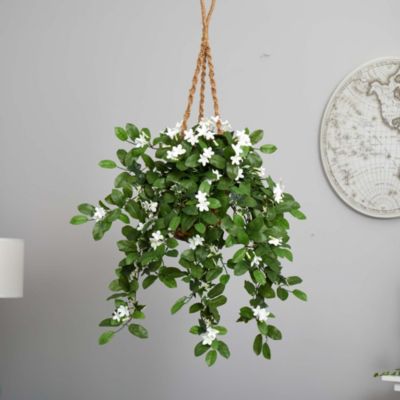 Stephanotis Flowering Artificial Plant in Hanging Basket