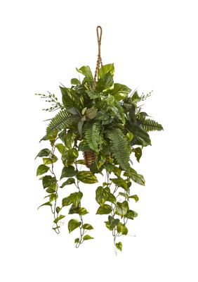 Nearly Natural Assorted Pothos and Boston Fern in Hanging Basket, Green