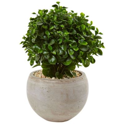2-Foot Eucalyptus Silk Plant in Sand Colored Bowl UV Resistant (Indoor/Outdoor)