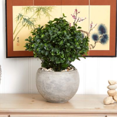 2-Foot Eucalyptus Silk Plant in Sand Colored Bowl UV Resistant (Indoor/Outdoor)