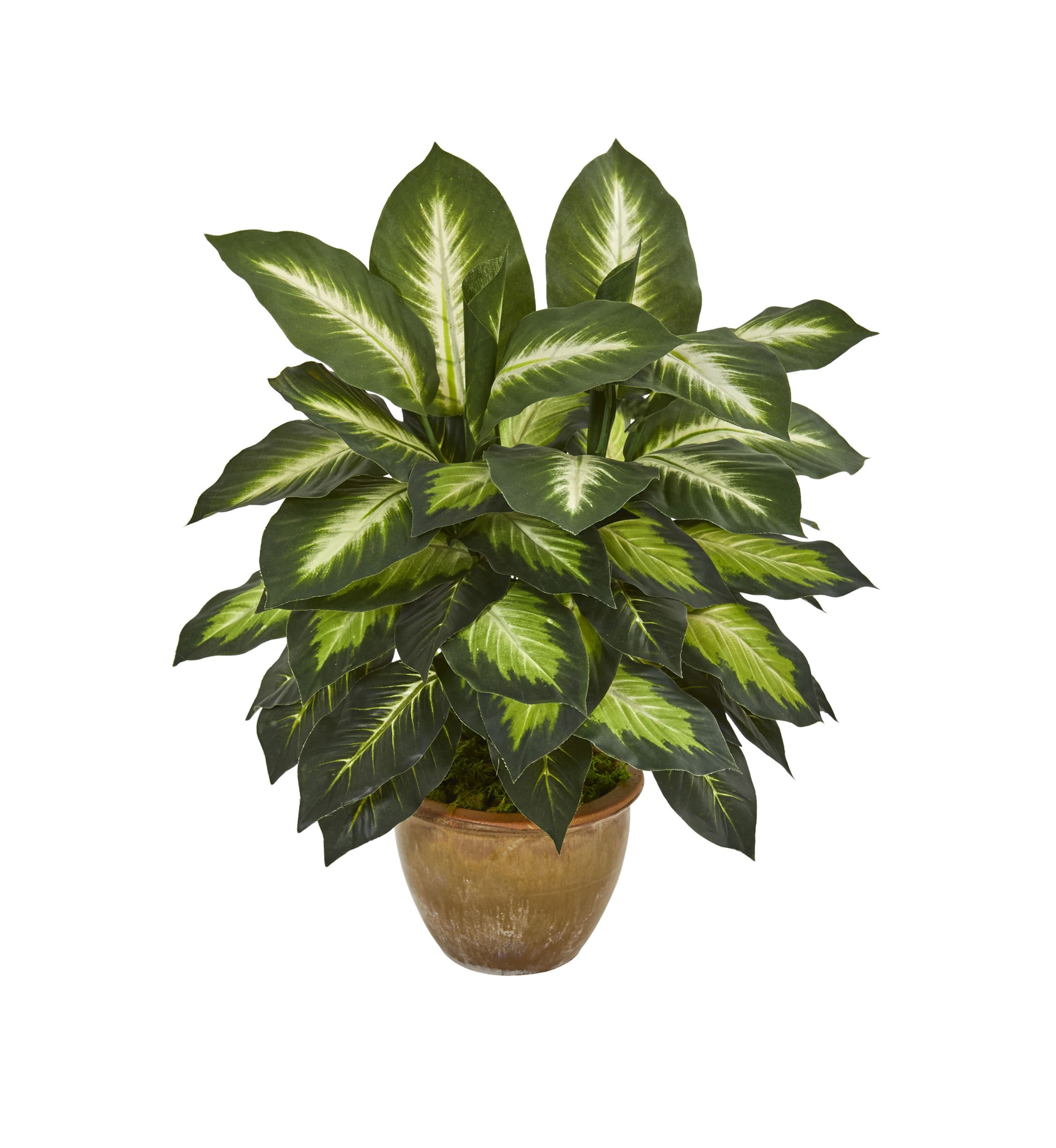 Dieffenbachia Artificial Plant in Ceramic Planter