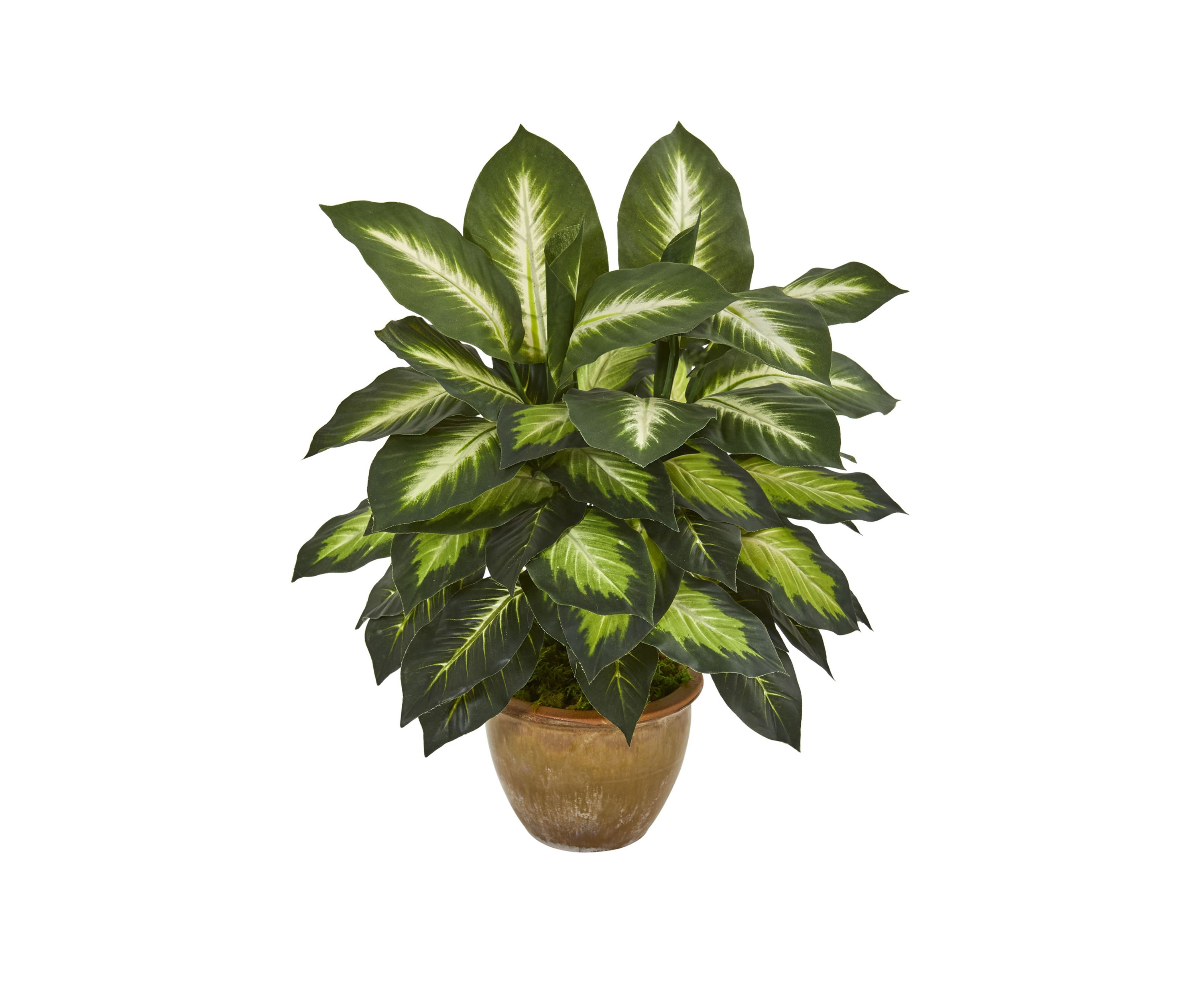 Dieffenbachia Artificial Plant in Ceramic Planter
