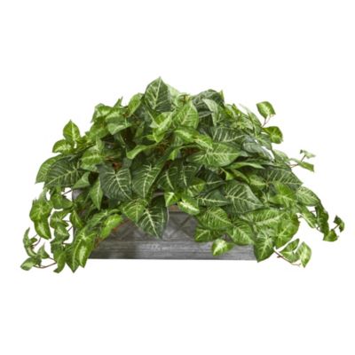 Nephthytis Artificial Plant in Stone Planter