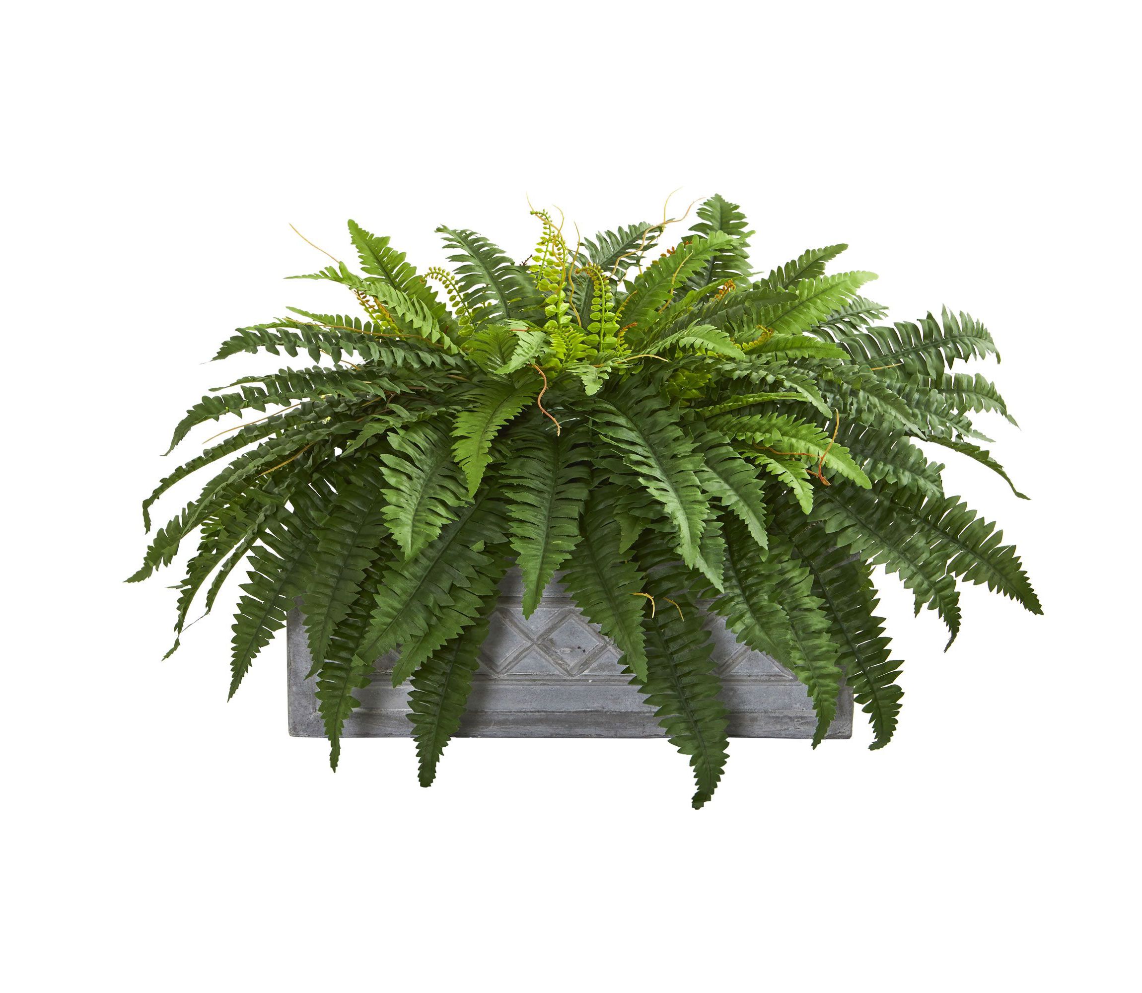 Boston Fern Artificial Plant in Stone Planter