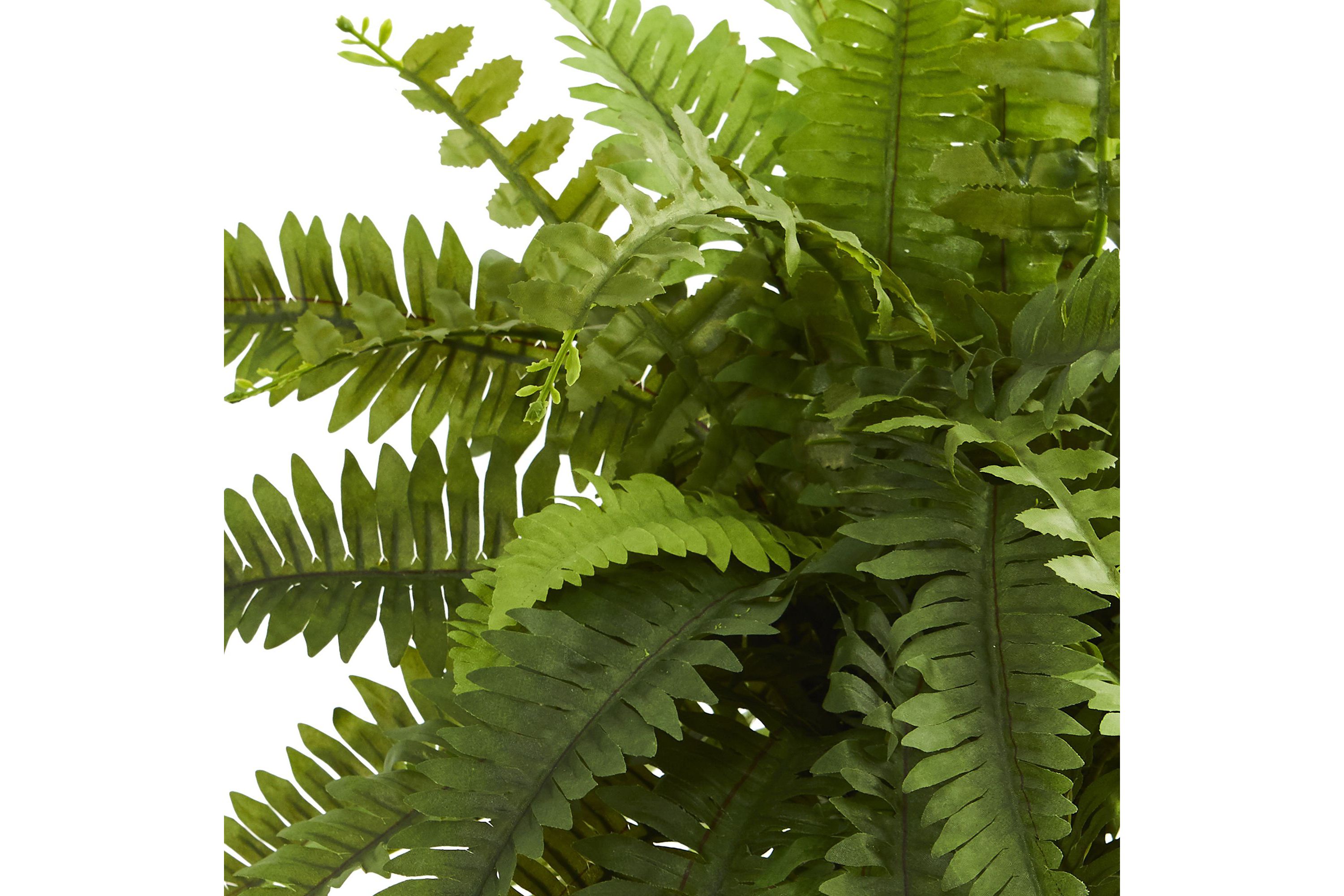 Boston Fern Artificial Plant in Decorative Planter