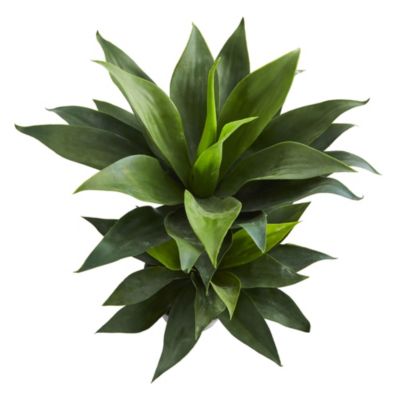 29-Inch Double Agave Succulent Artificial Plant