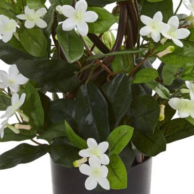 24-Inch Stephanotis Artificial Climbing Plant