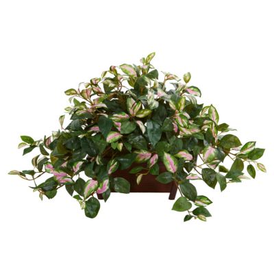 Hoya Artificial Plant in Decorative Planter