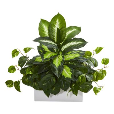 Golden Dieffenbachia and Pothos Artificial Plant