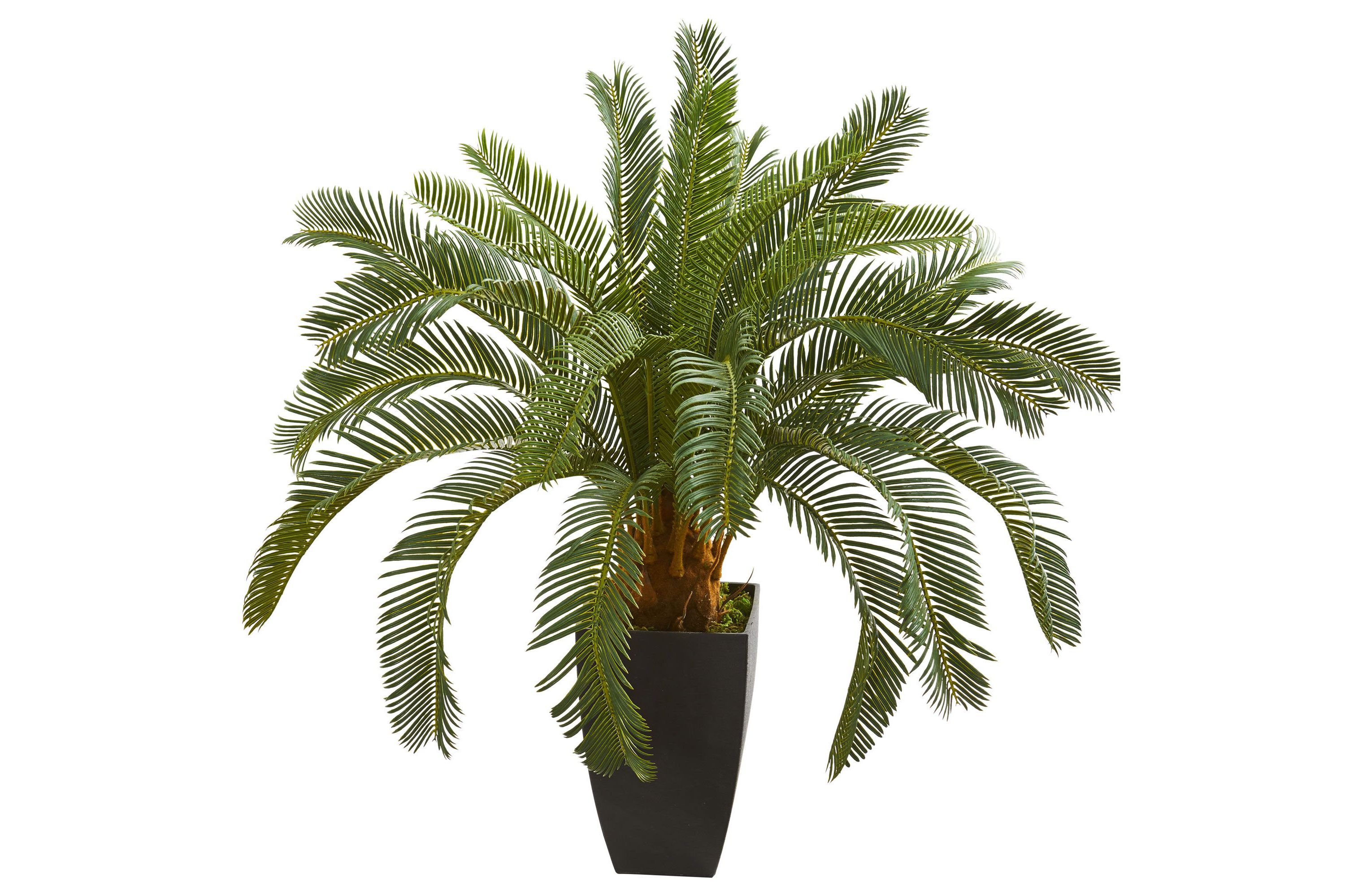 30-Inch Cycas Artificial Plant
