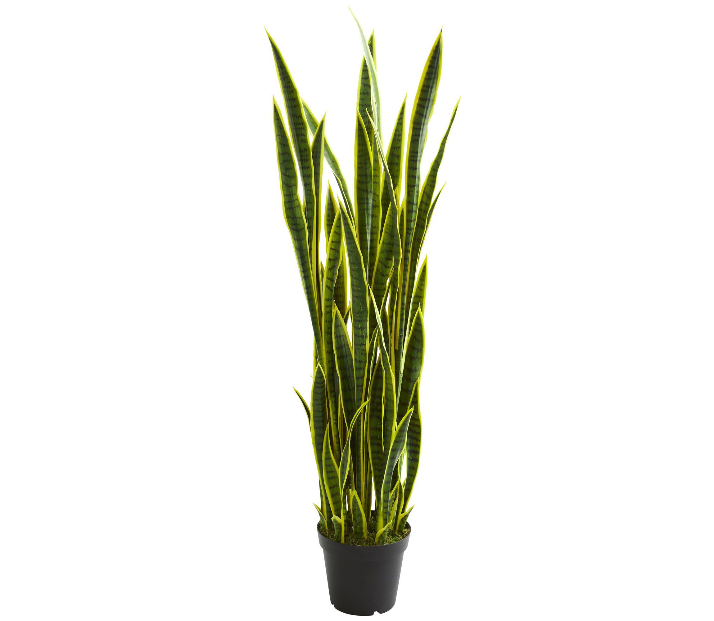 5-Foot Sansevieria Artificial Plant