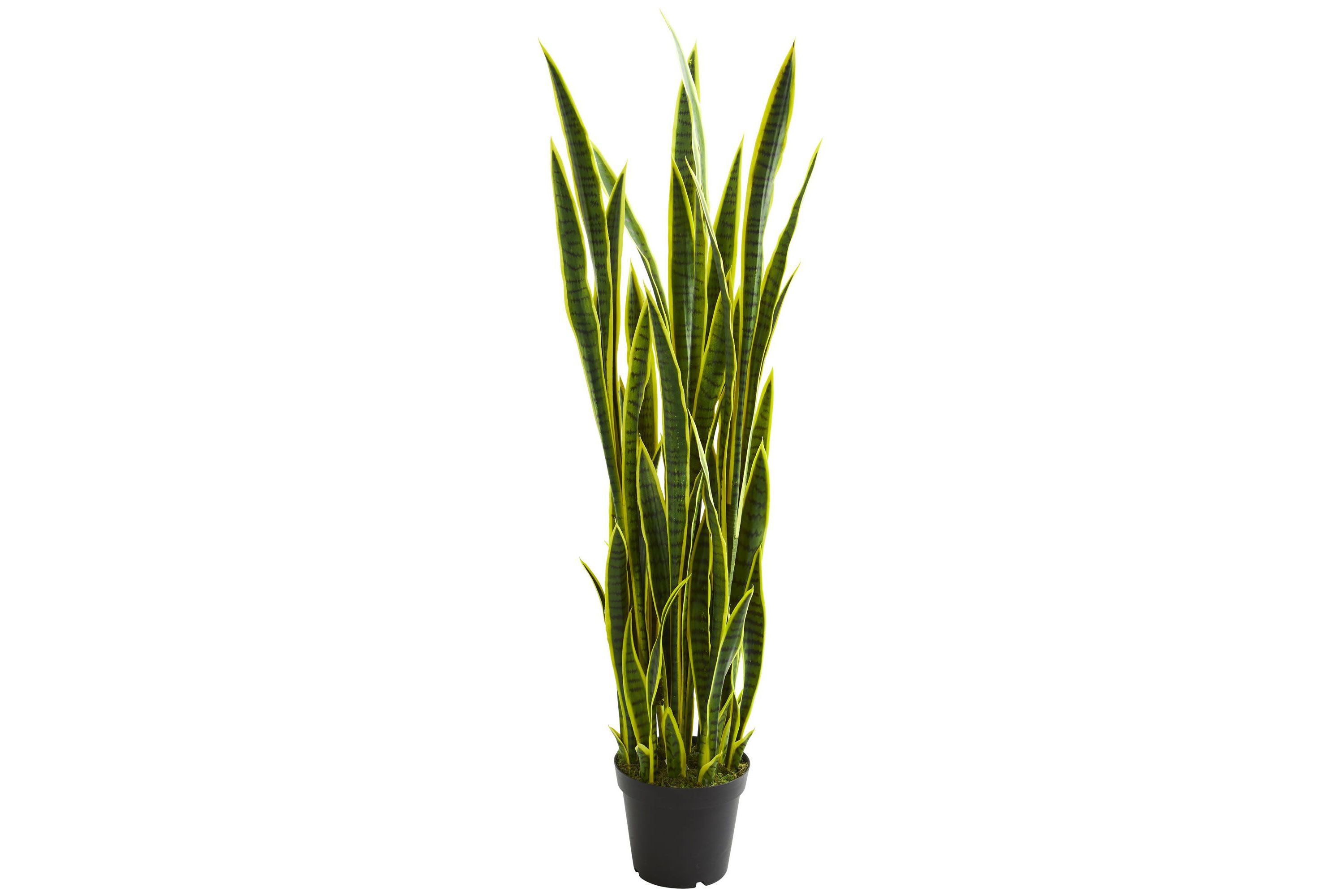 5-Foot Sansevieria Artificial Plant