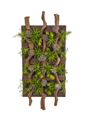 Nearly Natural Assorted Succulent Living Wall, Green