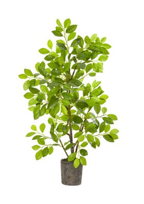 Nearly Natural Ficus Tree in Planter