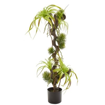 41-Inch Air Plant and Succulent Jungle Artificial Plant