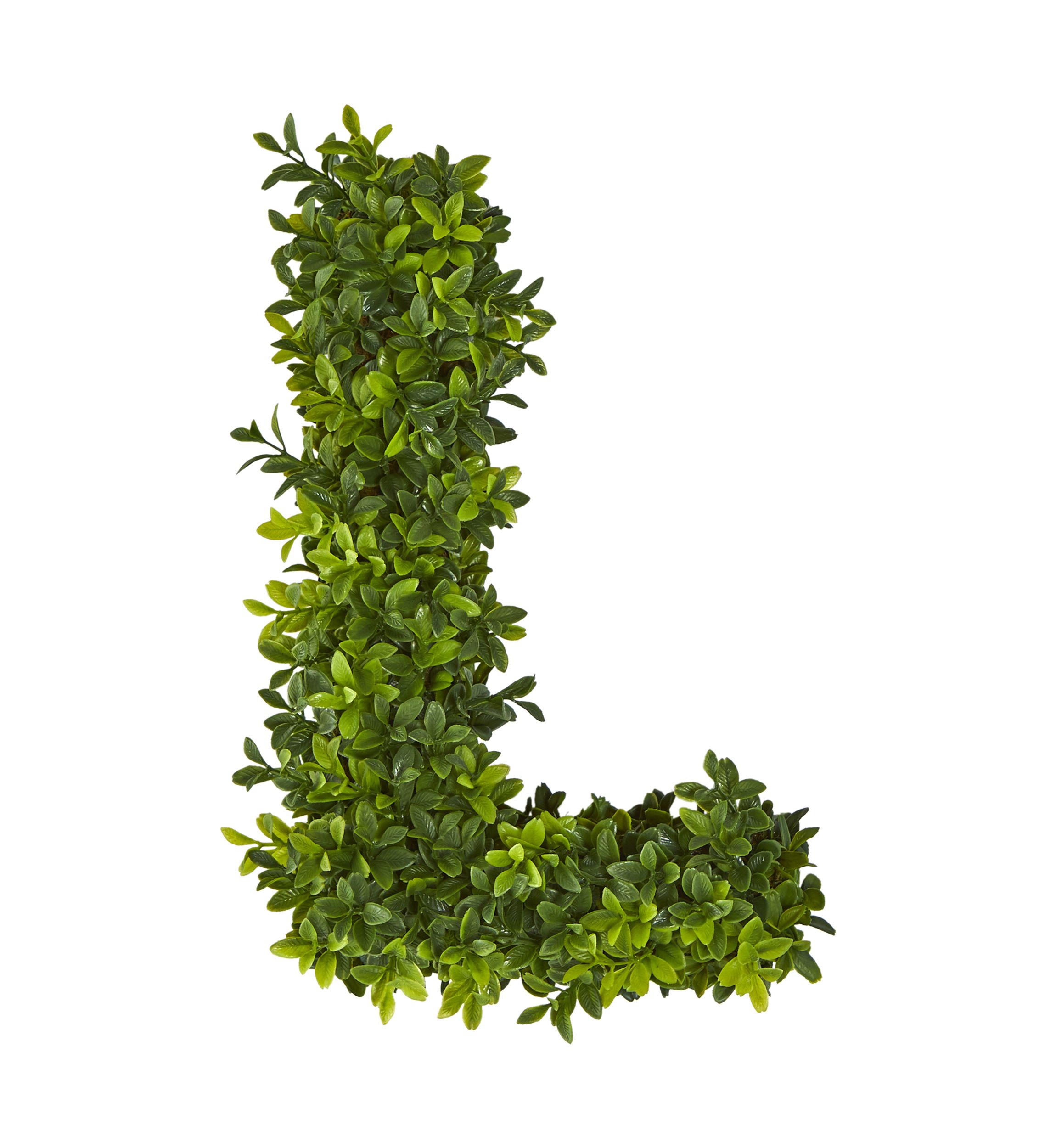 Boxwood Wall Decoration Indoor/Outdoor