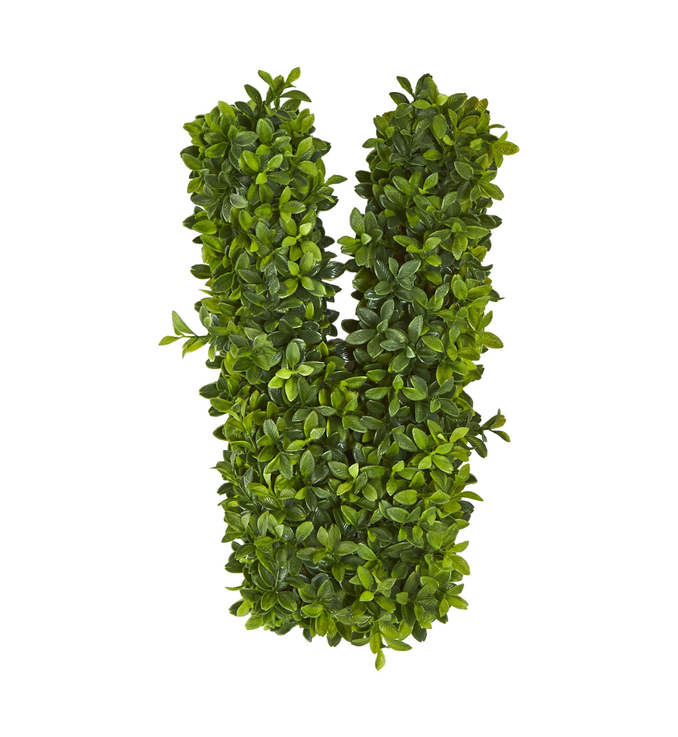 Boxwood Wall Decoration Indoor/Outdoor