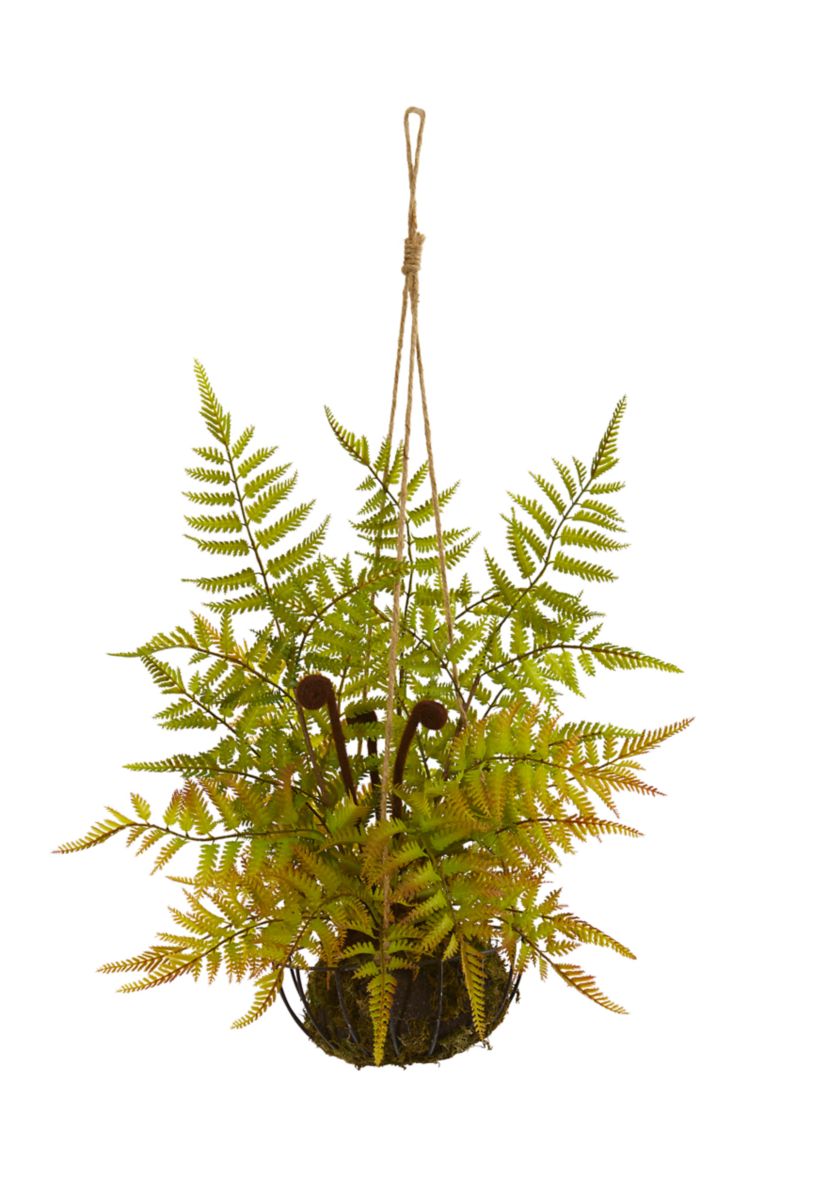 Fern Plant in Metal Hanging Basket