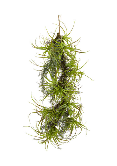 Nearly Natural Air Plant Hanging Plant