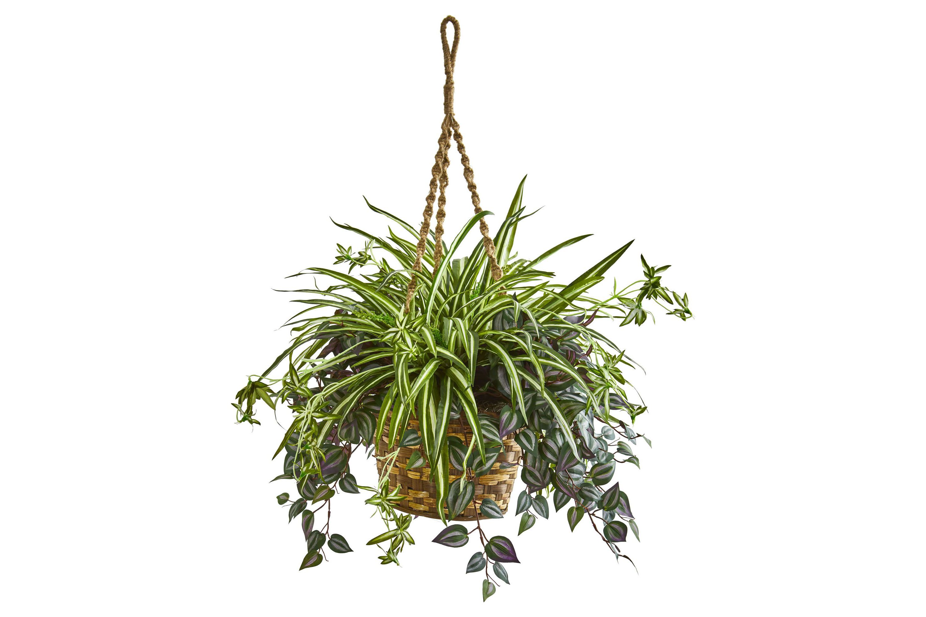 30-Inch Wandering Jew and Spider Artificial Plant in Hanging Basket
