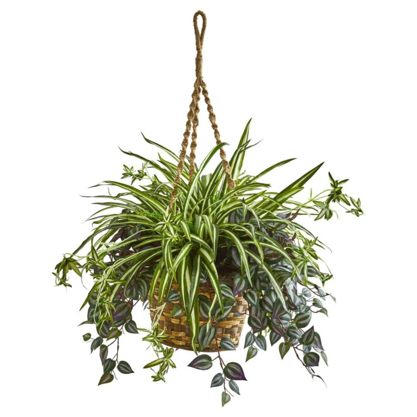30-Inch Wandering Jew and Spider Artificial Plant in Hanging Basket