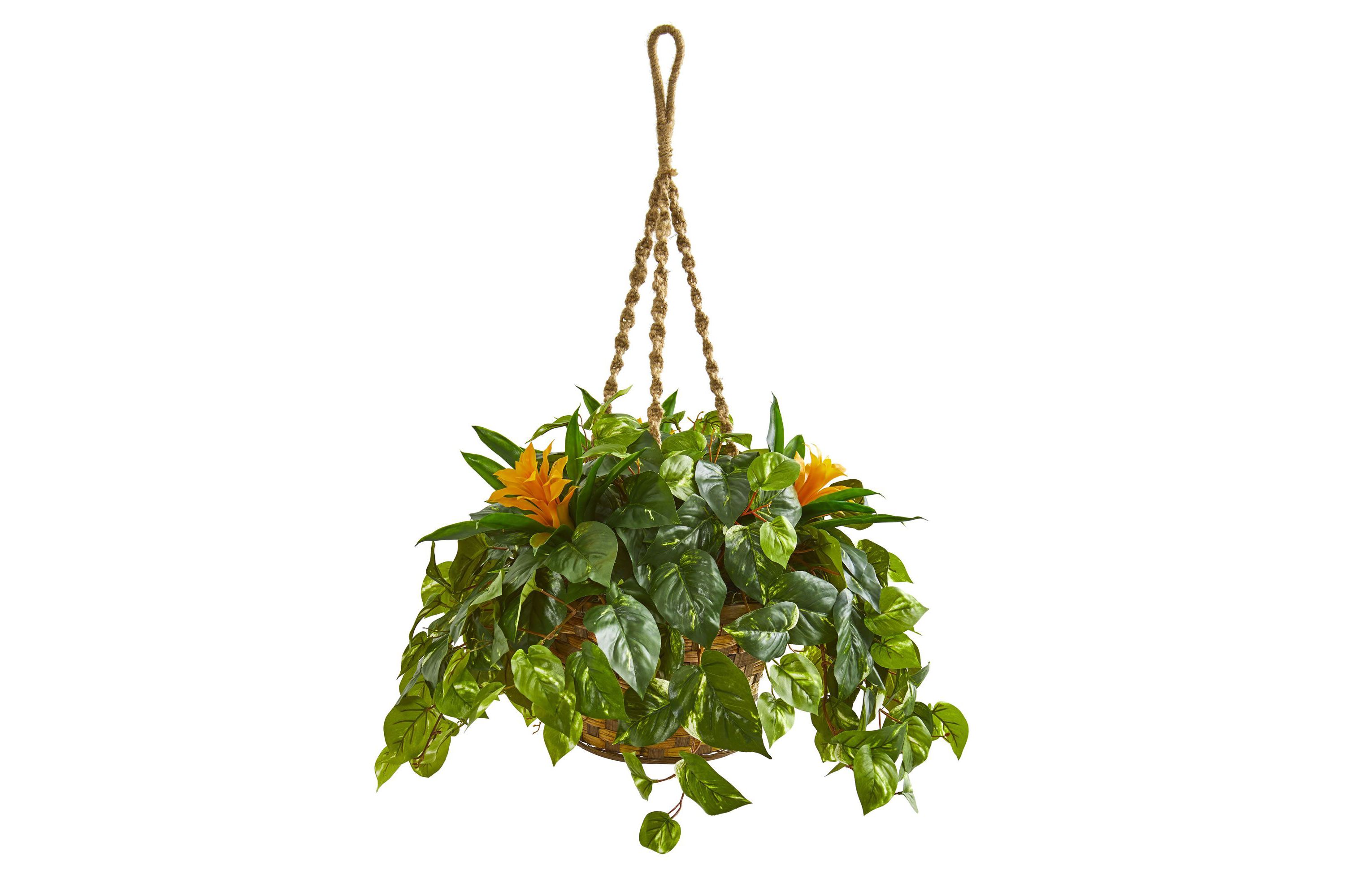 31-Inch Bromeliad and Pothos Artificial Plant in Hanging Basket