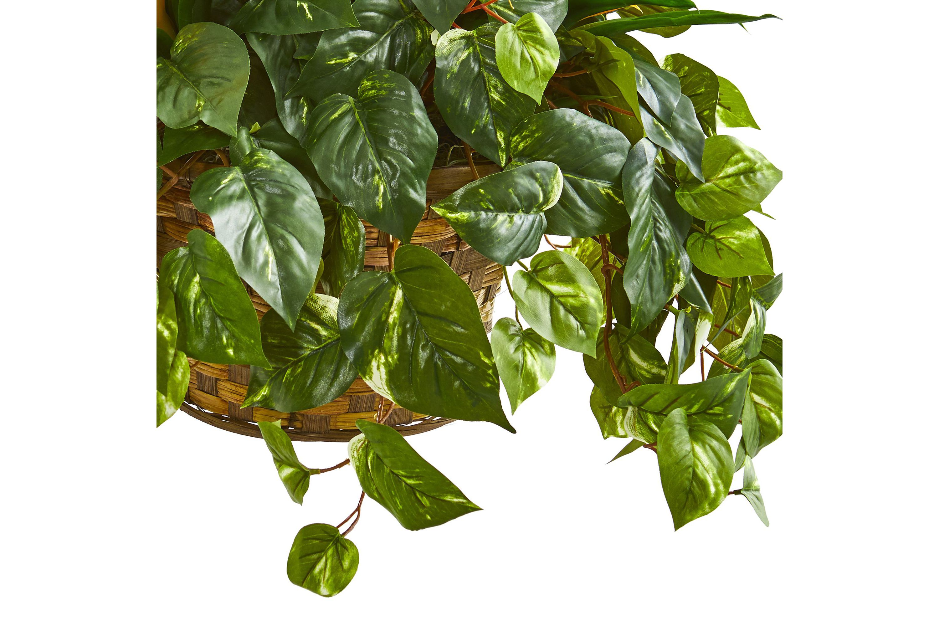 31-Inch Bromeliad and Pothos Artificial Plant in Hanging Basket