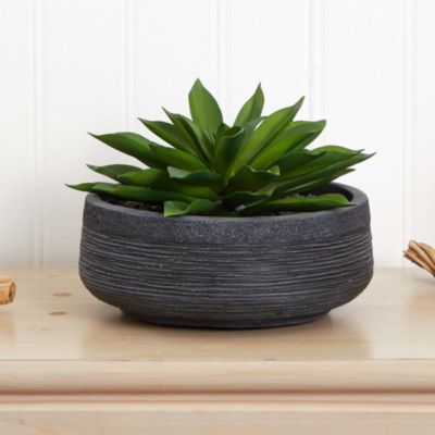 Large Succulent Artificial Plant in Decorative Bowl