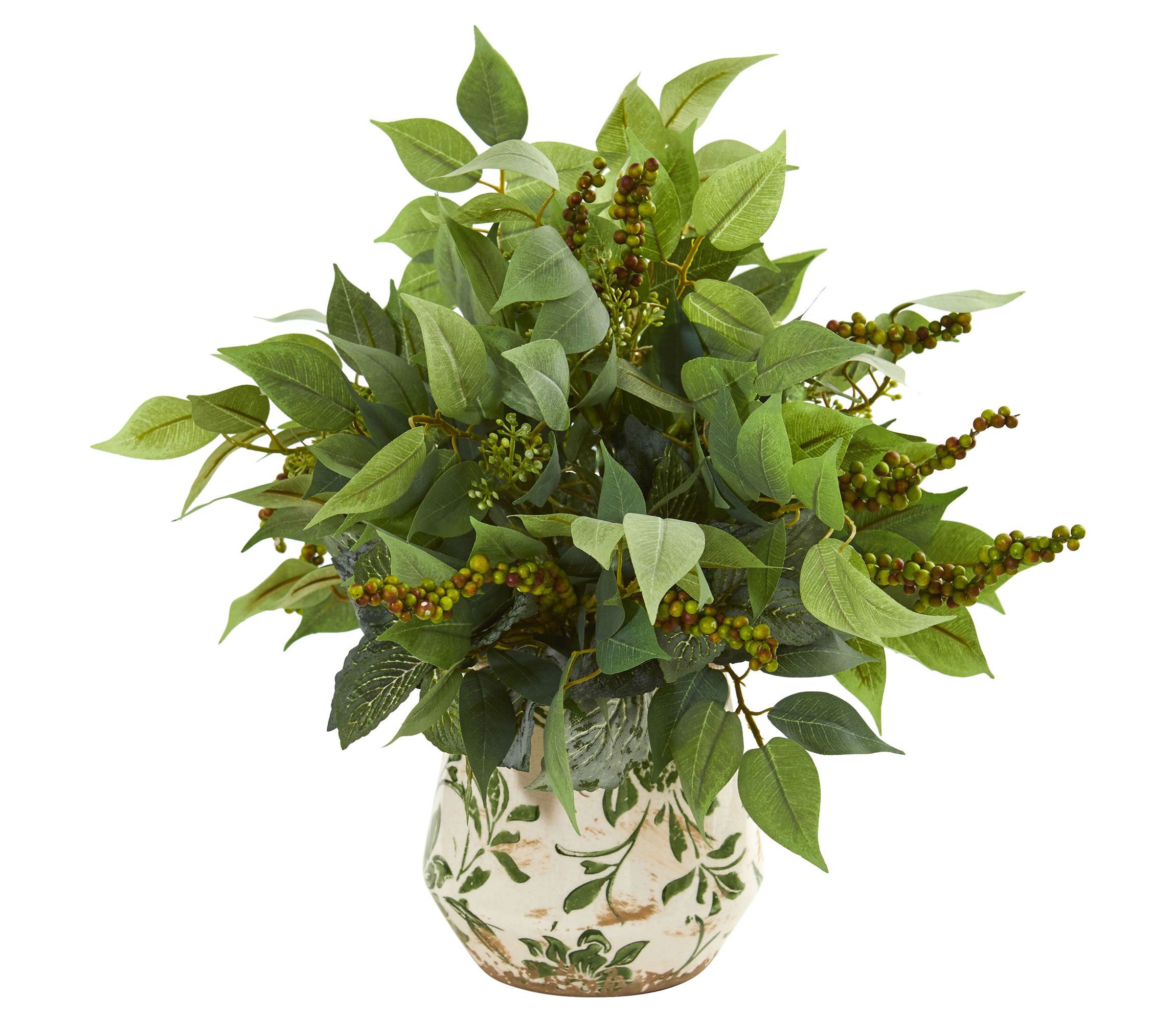 Mixed Ficus, Fittonia and Berries Artificial Plant in Floral Vase