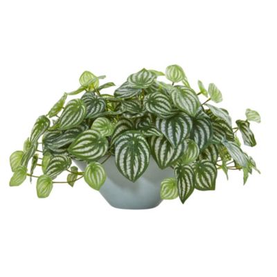 19-Inch Watermelon Peperomia Artificial Plant in Green Vase (Real Touch)