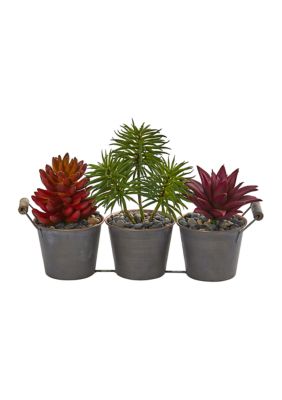 Assorted Succulent Plant in Triple Potted Planter