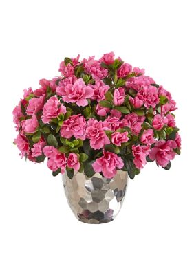 Azalea Plant in Silver Planter