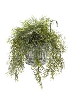 Nearly Natural Tillandsia Moss Plant in Vintage Hanging Metal Pail, Green
