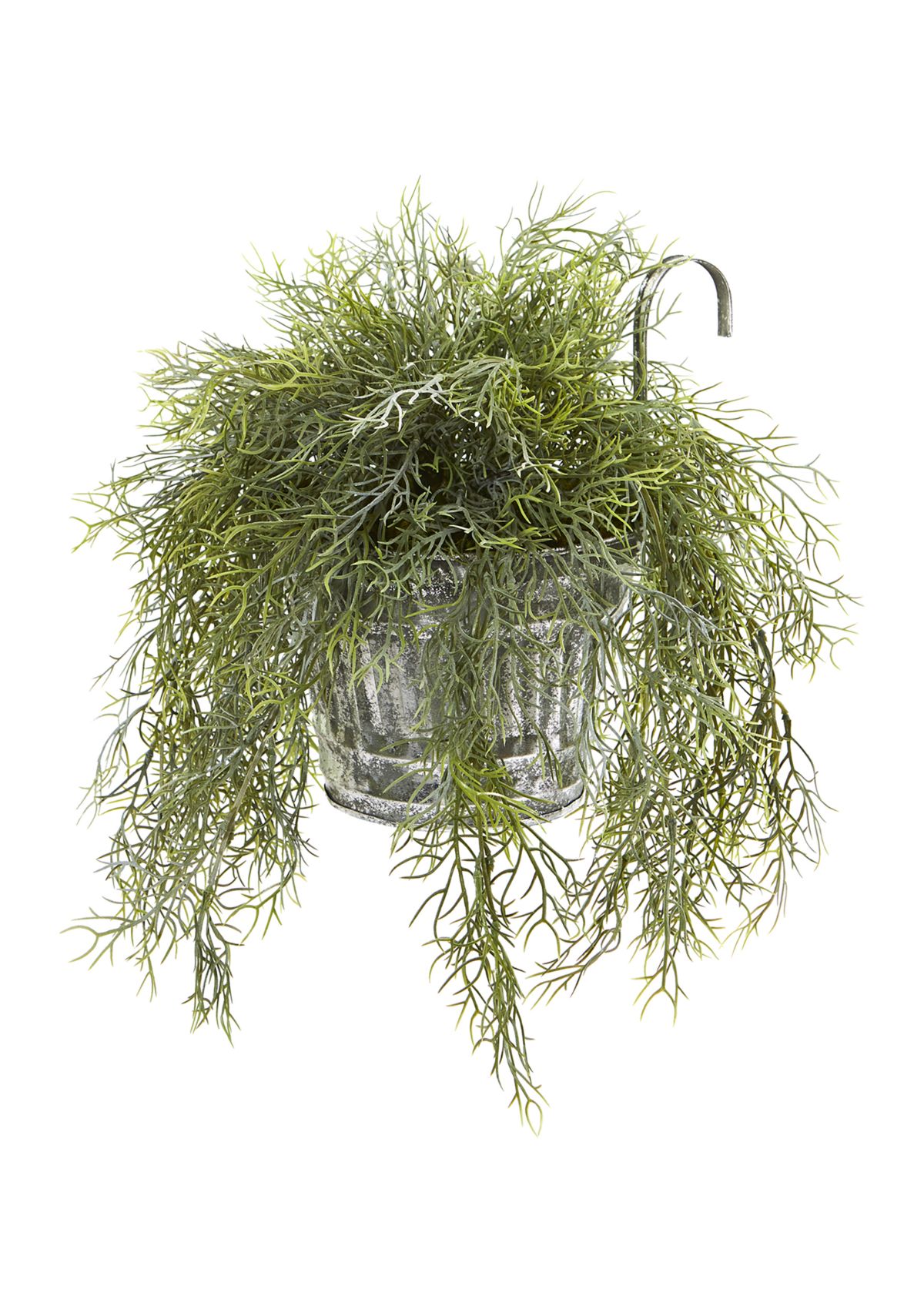 Tillandsia Moss Plant in Vintage Hanging Metal Pail