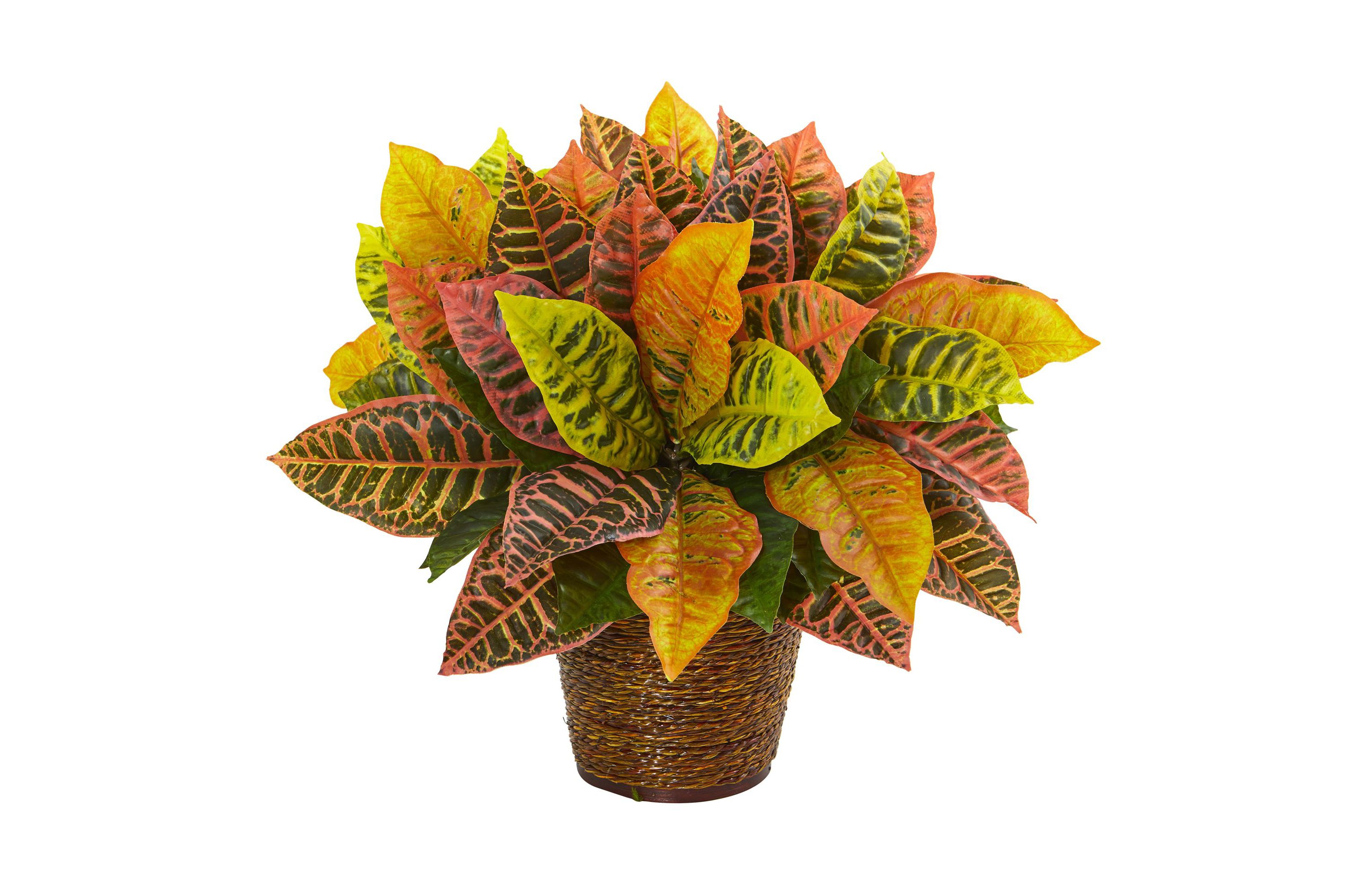 17-Inch Garden Croton Artificial Plant in Basket (Real Touch)