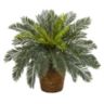 15-Inch Cycas Artificial Plant in Basket
