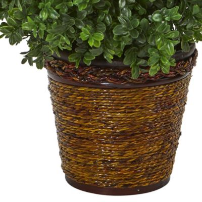 23-Inch Sweet Grass Artificial Plant in Basket (Indoor/Outdoor)