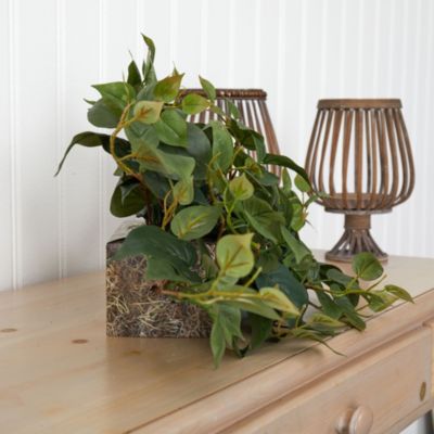 31-Inch Philodendron Artificial Ledge Plant