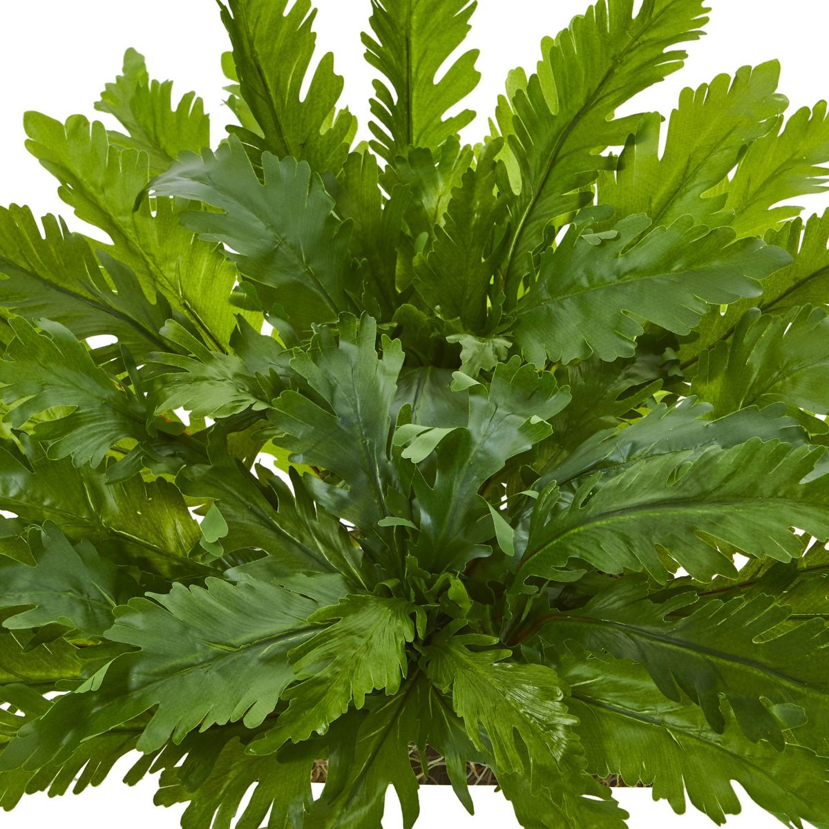 26-Inch Fern Artificial Ledge Plant