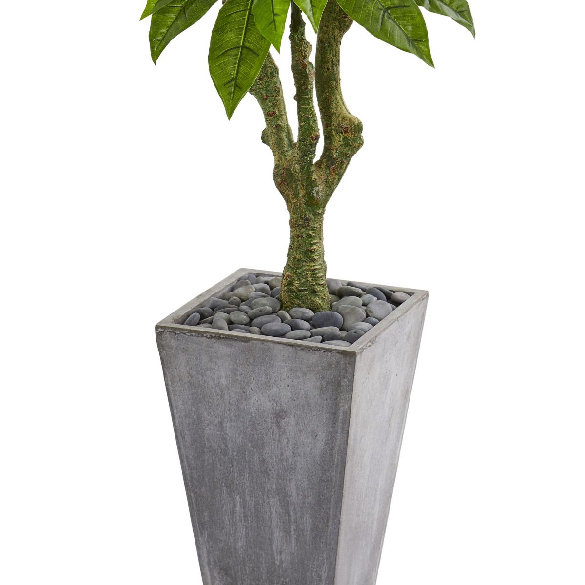 5.5-Foot Plumeria Artificial Tree in Gray Planter UV Resistant (Indoor/Outdoor)