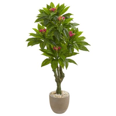 5-Foot Plumeria Artificial Tree in Decorative Planter UV Resistant (Indoor/Outdoor)