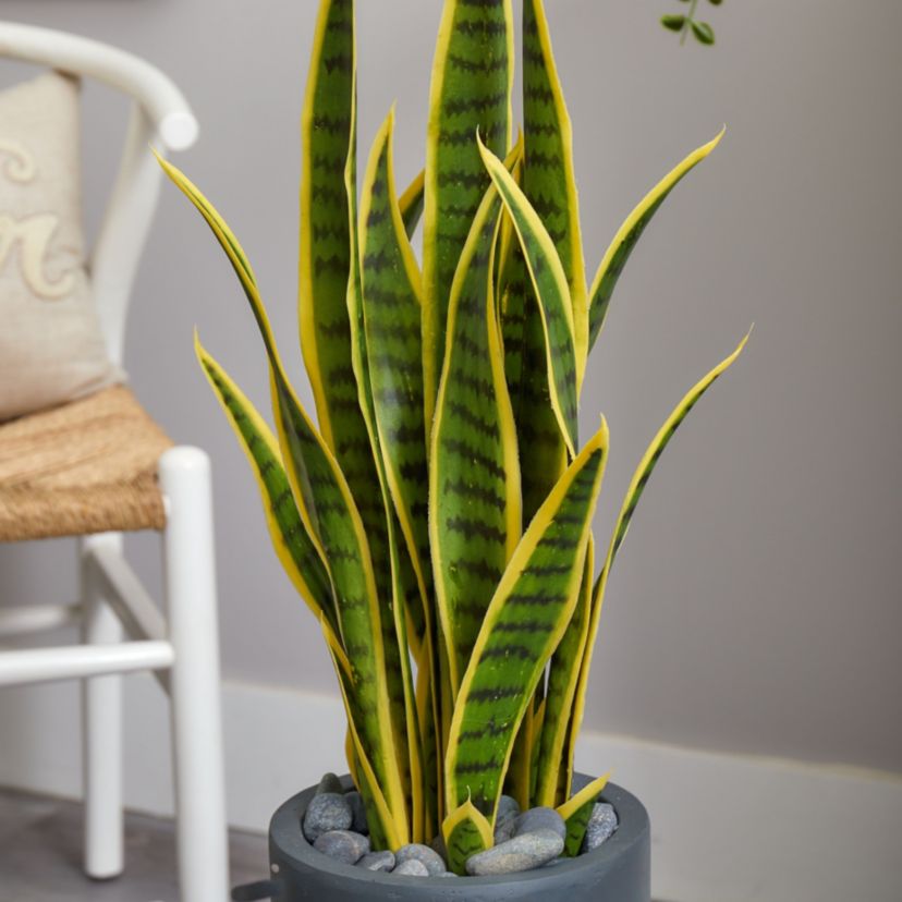 3-Foot Sansevieria Artificial Plant in Gray Bullet Planter